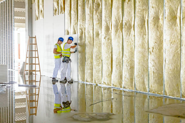 Best Attic Insulation Installation  in Fruita, CO